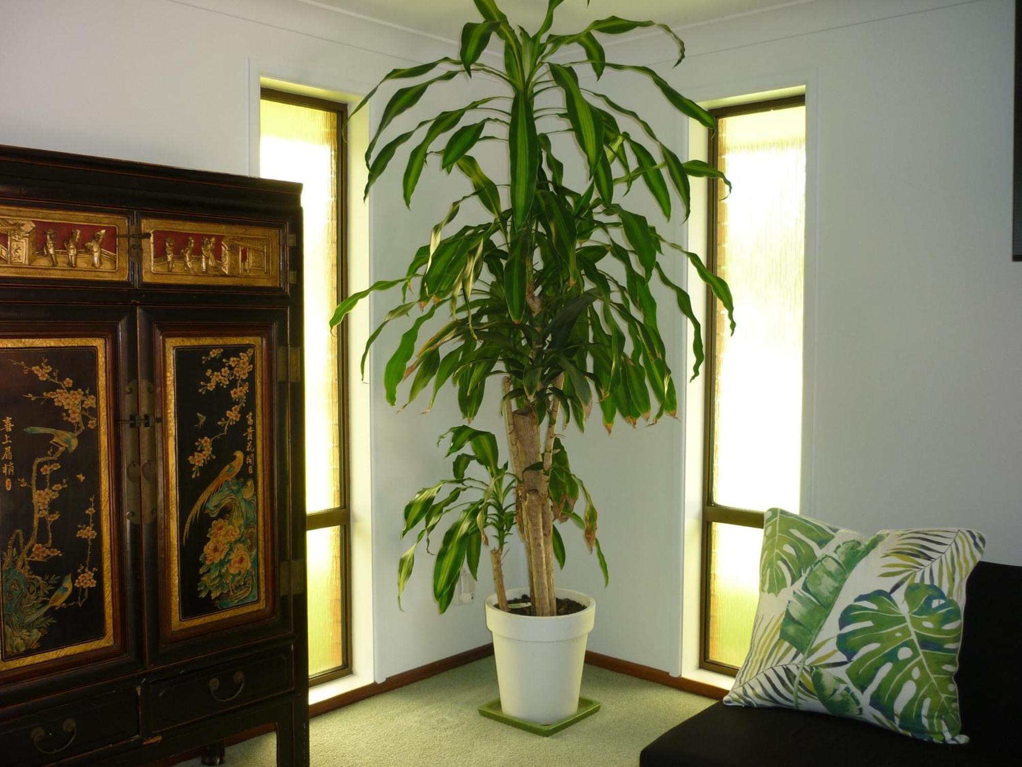 Bill'S Apartment Coffs Harbour Exterior foto